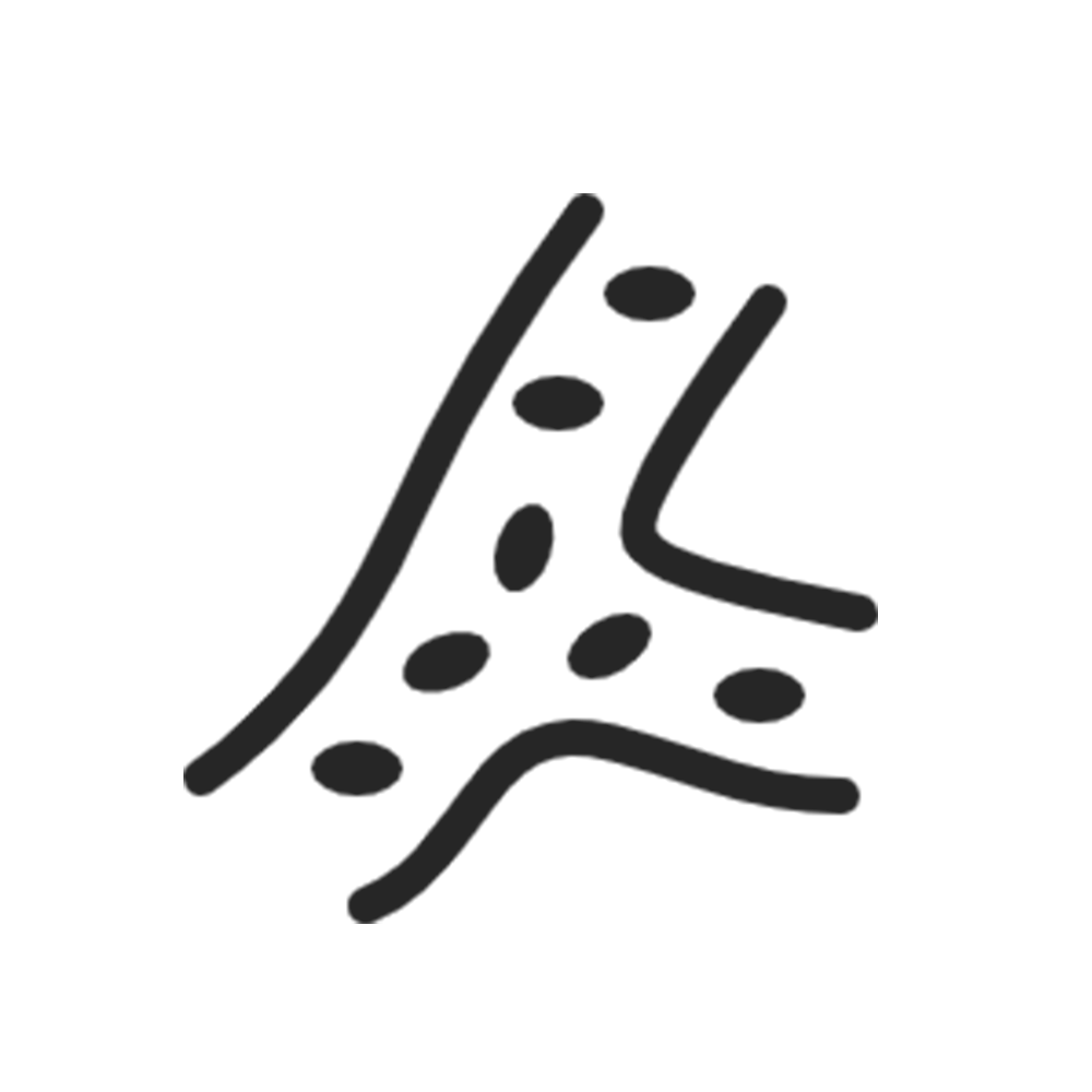 それらのしわはどこから来るのですか? 7 21